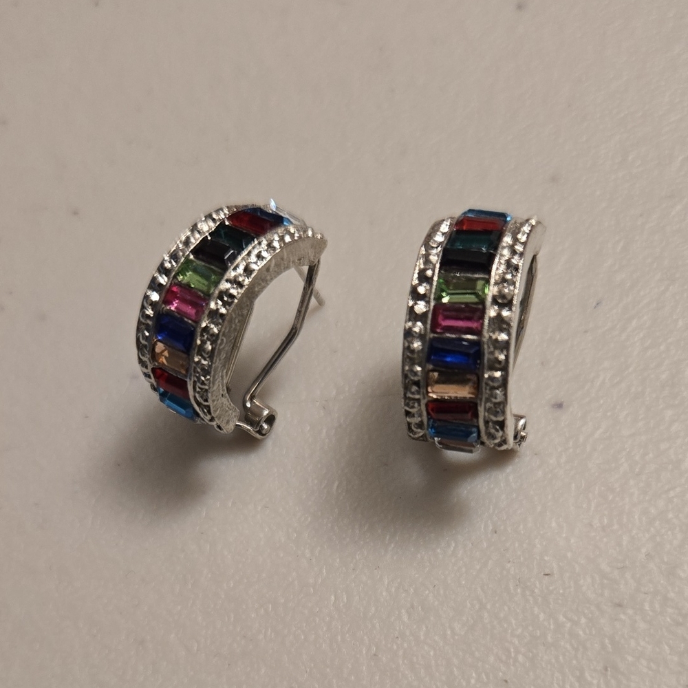 Multicolor Silver Hoop Earrings
